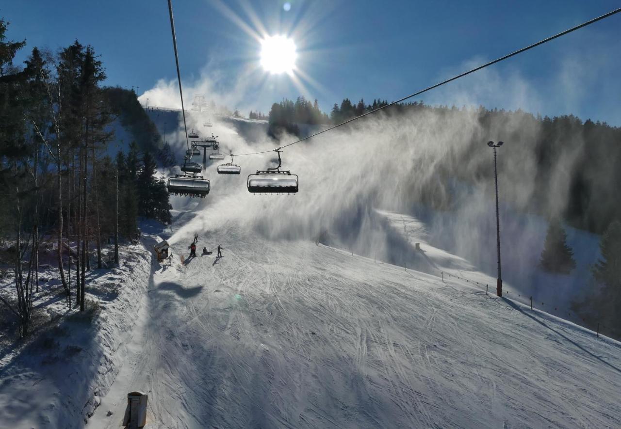 Quartier12 "Ski In & Bike Out" - Fewo Berg Willingen  Ngoại thất bức ảnh
